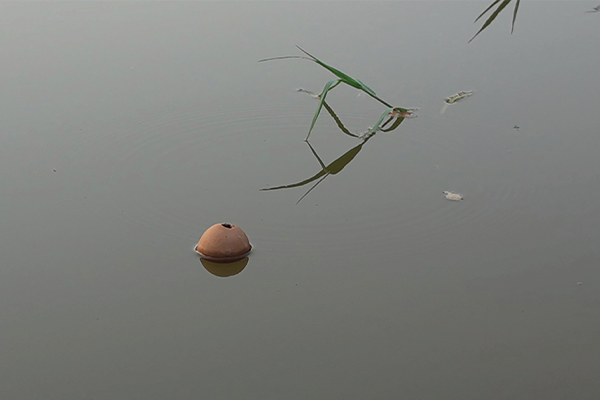 ECOLOGIES OF DIVERSITY